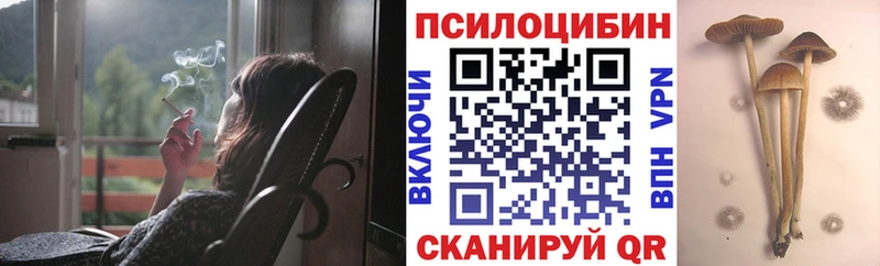 Псилоцибиновые грибы ЛСД  как найти наркотики  Тулун 